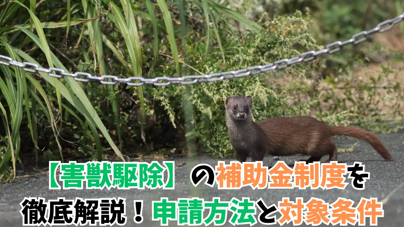 【害獣駆除】の補助金制度を徹底解説！申請方法と対象条件 タイトル画像